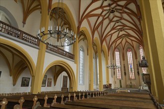 Nave of St Michael's Church, Jena, Thuringia, Germany, Europe