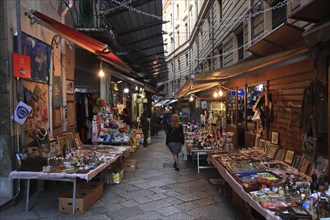 Palermo old town, market, market day in La Vucciria district, Mercato Vucciria, Sicily, Italy,