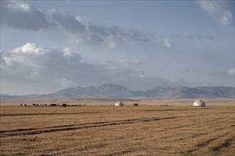 Yurts at Song Kul in autumn, Moldo Too Mountains, Naryn region, Kyrgyzstan, Asia