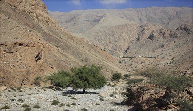 Wadi at Al-Jabal al Akhdar, Batinah Region, Oman, Asia