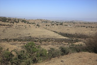 Landscape in Southern Oman