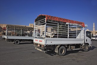 The traditional animal market is now only handled directly from trucks. Nizwa is the centre of the