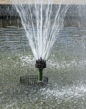 Water fountain at the Sprimgbrunnen, Potsdam, Brandenburg, Germany, Europe