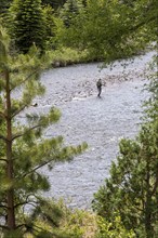 Fox Creek, Colorado, Fishing in the Conejos River in Rio Grande National Forest