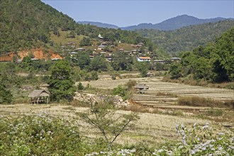 Rural village and terraced rice paddy fields in the Tachileik District, Shan State, Myanmar, Burma,