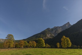 Engtal, Großer Ahornboden, Karwendel Mountains, Kalkalpen, Tyrol, Austria, Autumnal coloured