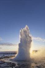 Eruption of Strokkur, fountain geyser in the geothermal area beside the Hvítá River in winter,