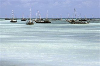 Traditional wooden fishing boats in the Indian Ocean, Zanzibar, Tanzania, East Africa, Africa