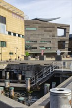 Te Papa Tongarewa, National Museum, Wellington, New Zealand, Oceania