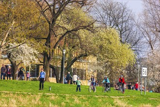 Spring on the Königsufer in Dresden