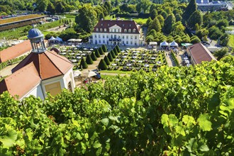 Wackerbarth Castle or Wackerbarths Ruh is a Baroque castle surrounded by vineyards in the