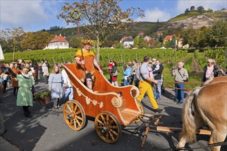 The Saxon Winegrowers' Procession 2012