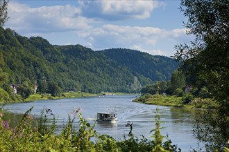 Elbe ferry in Schmilka