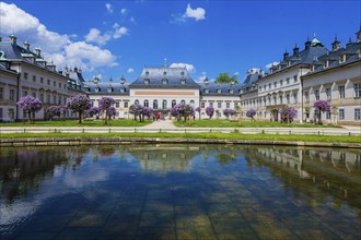 Pillnitz Palace & Park