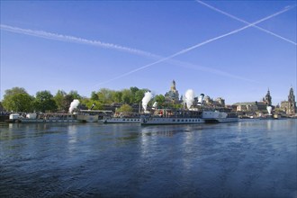 Steamboat parade on the Elbe