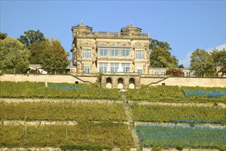 Elbe castles, Villa Stockhausen