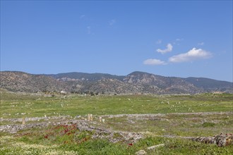 Landscape in Hierapolis, Hieropolis, near Pamukkale, Denizli, Western Turkey, Turkey, Asia