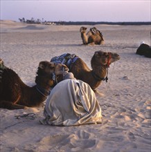 Tunisia with Hammamet by the sea on12.3.1992, TUN, Tunisia, Africa