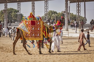 PUSHKAR, INDIA, NOVEMBER 22, 2012: Camel decoration competition contest at Pushkar camel fair