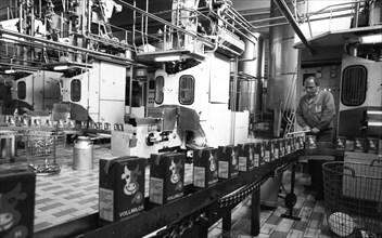 Milk processing at Westmilch on 20.05.1980 in Bochum, Germany, Europe