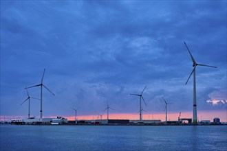 Wind turbines power electricity generators in Antwerp port in the evening. Antwerp, Belgium, Europe