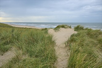 Footpath, Sand dune, Sea, Marram Grass, Clouds, Zandvoort, North Sea, North Holland, Netherlands