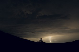 Lightning in the night sky, Lower Austria, Austria, Europe