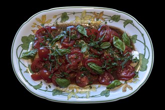 Mozzarella with tomatoes and basil on an oval serving plate, on a black background, Bavaria,