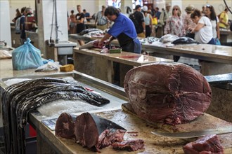 Tuna and black scabbardfish (Aphanopus carbo), fish market, Mercado dos Lavradores market hall,