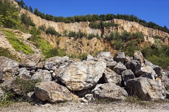 Disused Vatter porphyry quarry, Dossenheim, Baden-Württemberg, Germany, Europe