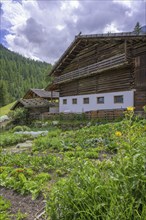 Farm and vegetable garden, Ulten, South Tyrol, Italy, Europe