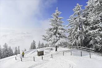 Hiker climbing up to Rigi Kulm in a snow-covered landscape, Rigi Stafel, Canton Schwyz,