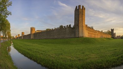 City wall in the evening light, Montagnana, province of Padua, Italy, Europe