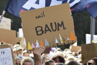 Heidelberg, Germany, September 2019: Protest sign held up during Fridays for future Climate strike