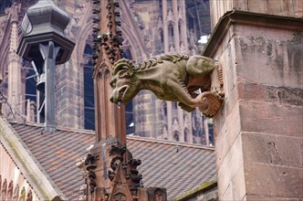 Gargoyles on the buttress of the Freiburg Cathedral, the Cathedral of Our Lady, in the old town of