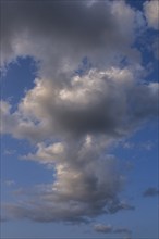 Rain clouds (Nimbostratus), Bavaria, Germany, Europe