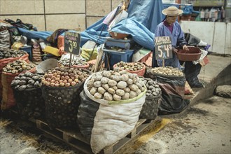 Potato variety, Mercado Mayorista, Huancayo, Peru, South America