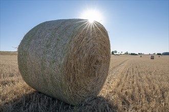 Straw bales on harvested grain field, backlit with sun star, Thuringia, Germany, Europe