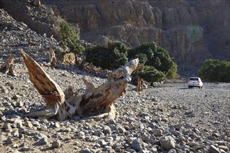 Landscape in the Jebel Harim area, in the Omani enclave of Musandam, Oman, Asia