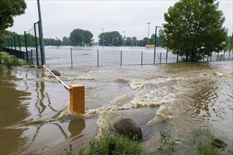 Flood ditch in the Ostragehege