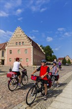 Elbe cycle path in Mühlberg