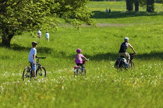 Strehla Elbe Cycle Route