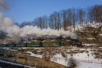 Little railway in Seifersdorf