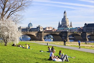 Dresden Spring on the banks of the Elbe in Neustadt