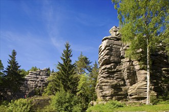 Griffin stones