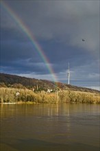 Elbe view from blauen Wunder