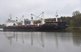 Cargo ship African Magnolia in autumn in the Kiel Canal, Schleswig-Holstein, Germany, Europe