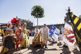 Return of the oranges from their winter quarters to the Dresden Zwinger