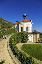 Wackerbarth Castle or Wackerbarths Ruh is a Baroque castle surrounded by vineyards in the