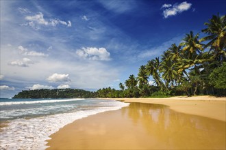 Tropical vacation holiday background, paradise idyllic beach. Mirissa, Sri lanka